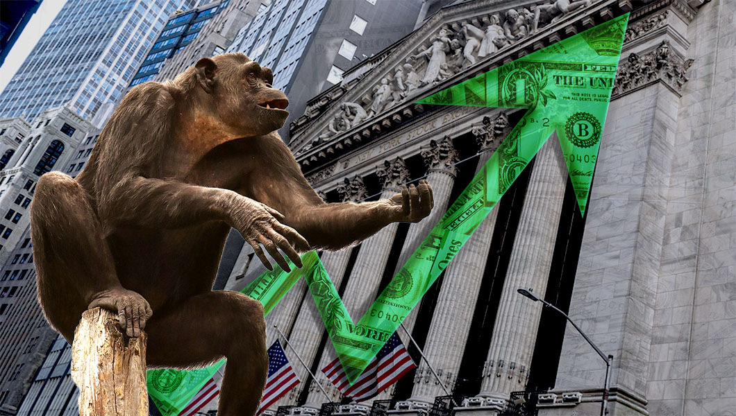 Raven the Wall Street Ape
